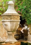 Fontaine française de la Provence